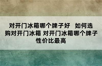 对开门冰箱哪个牌子好   如何选购对开门冰箱 对开门冰箱哪个牌子性价比最高